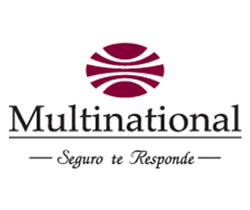 logo-multinational
